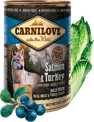 - Where to buy imported dog foodCarnilove Wild Adult Salmon & Turkey