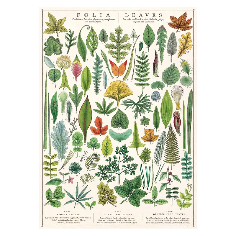 Cavallini Vintage Poster Folia Leaves