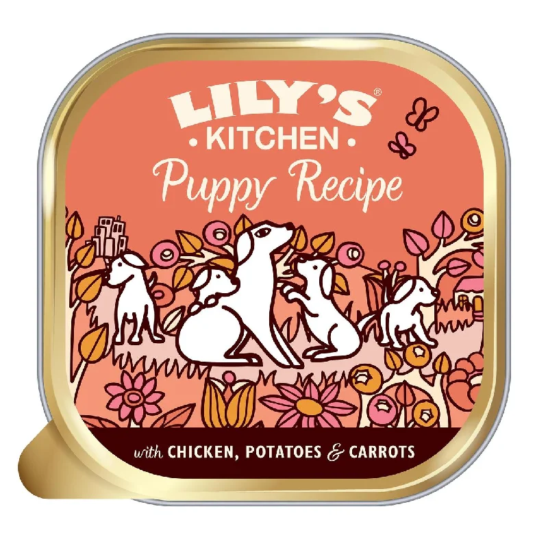    - Recommended online stores for cat food  Lily's Kitchen Chicken Dinner for Puppies 150g