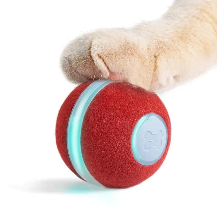 ### Dog accessoriesCheerble Electronic Ball Toy for Cats (Red)