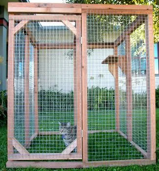  -Cost-effective pet toy recommendationsEconomy Cat Enclosure Kit