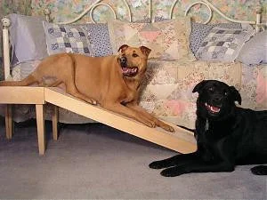 - Precautions for using pet toysLow Platform Dog Ramp