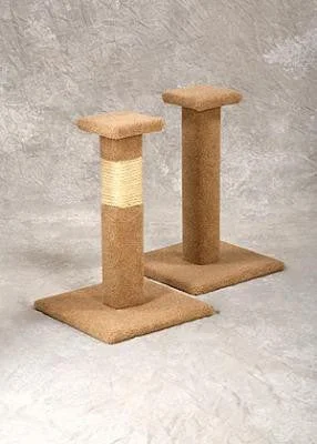 - Outdoor dog toy selectionPacific Capped Post