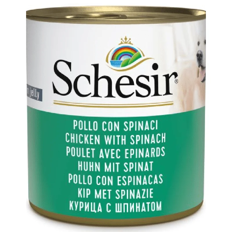 2. **Dog raincoat is waterproof and windproof**Schesir Chicken and Rice with Spinach in Jelly Dog Wet Food