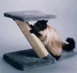 - Travel pet toy recommendations'Z' Scratcher